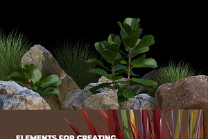 NATURAL Plants&stones Collection 02