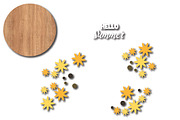 Hello Summer Doog Sign SVG PNG, an Object Graphic by EllaMaiyaali (Thumbnail 3 of 3)