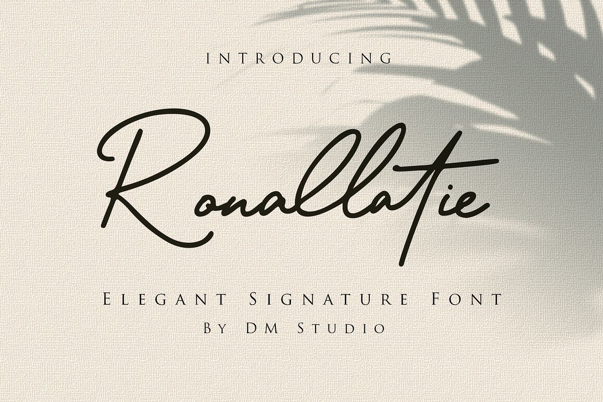 Ronallatie - Elegant Signature Font, a Script Font by Dm Studio (Photo 1 of 9)