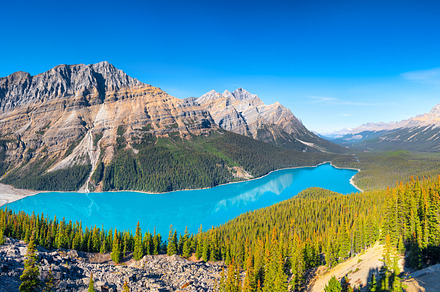 Lake Peyto, Canada, a Nature Photo by Landscape and travel