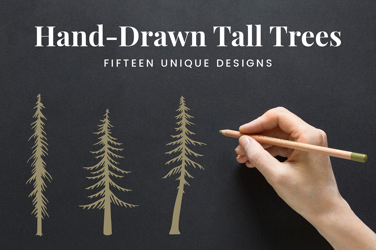 Hand-Drawn Tall Trees, an Illustration by Build Interactive (Photo 1 of 7)