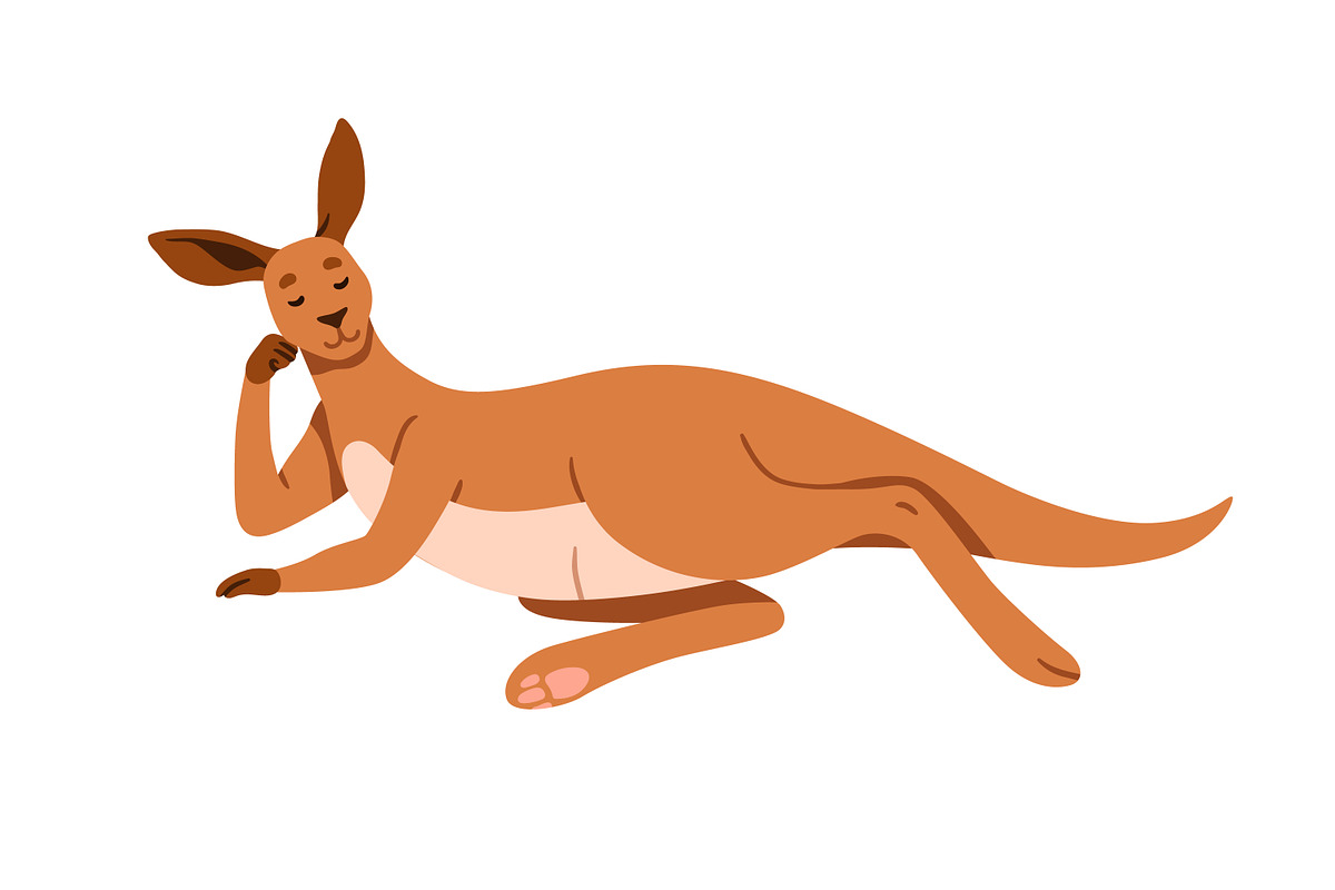Cute happy kangaroo animals set, an Animal Illustration by Good Studio (Photo 11 of 15)
