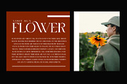 GROMER Elegant Ligature Serif, a Font by Alfinart (Thumbnail 4 of 10)