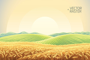 Rural landscape with wheat field