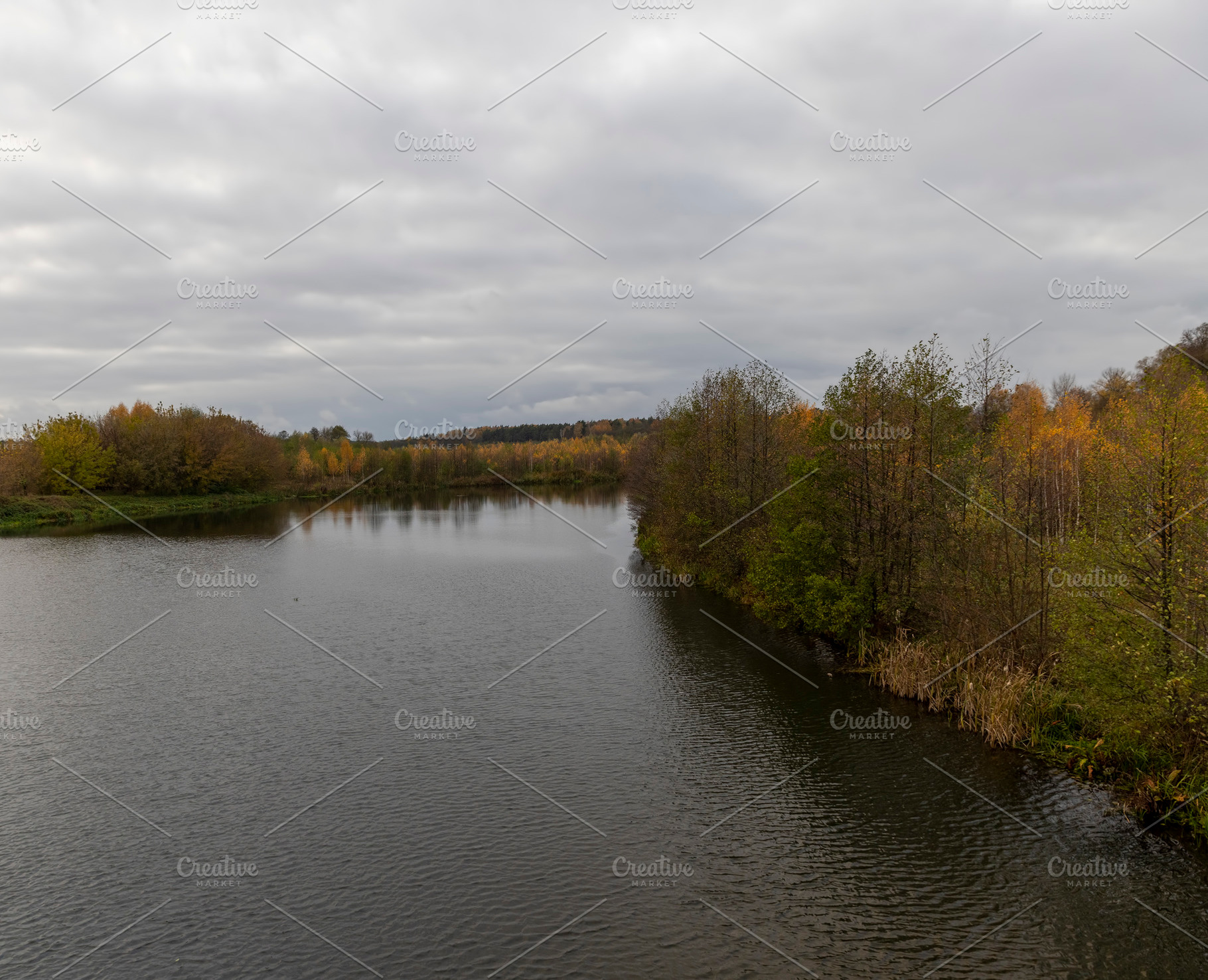 trees with yellow and orange foliage on the shore of a lake or river, side view, a Photo by rsoollAI