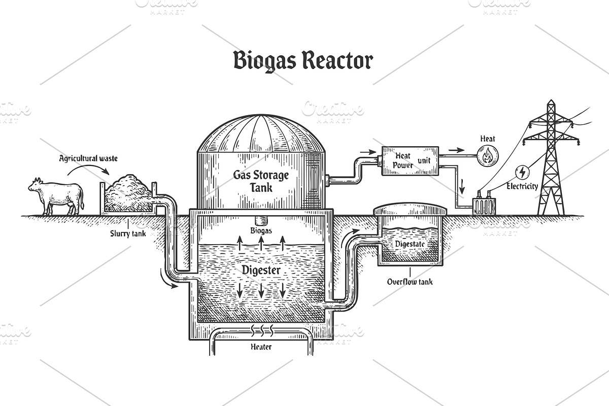 Biogas Reactor Process Diagram, an Illustration by AlexArt