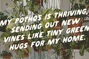 Pothos Font, a Sans Serif Font by Chelsea Burkett (Thumbnail 6 of 6)