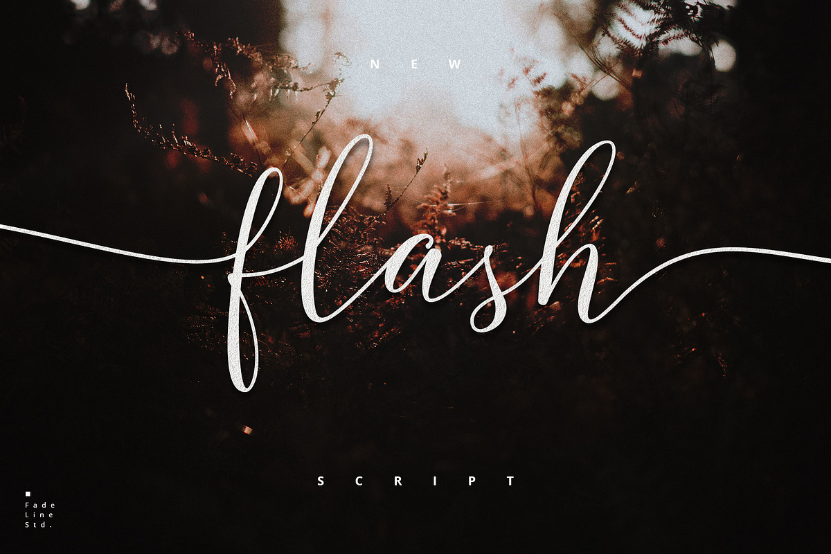 Flash Script - Update Latin Pro!