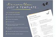 Pharmacist Resume template | Medical, a Resume Template by Climbwithelevator (Thumbnail 5 of 6)
