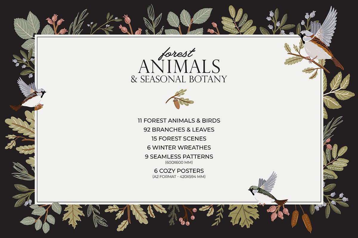 Forest Animals & Seasonal Botany, an Illustration by Ruslana Lubenets (Photo 2 of 21)