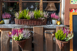 Rustic Autumn Cafe Window Decoration, a Nature Photo by Imaginarium