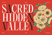 Cassaje – One Case Endless Presence, a Serif Font by Casloop Studio (Thumbnail 4 of 10)