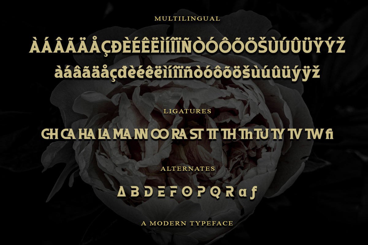 Chrafest - A Modern Typeface, a Serif Font by Meizzaluna Design (Photo 3 of 10)