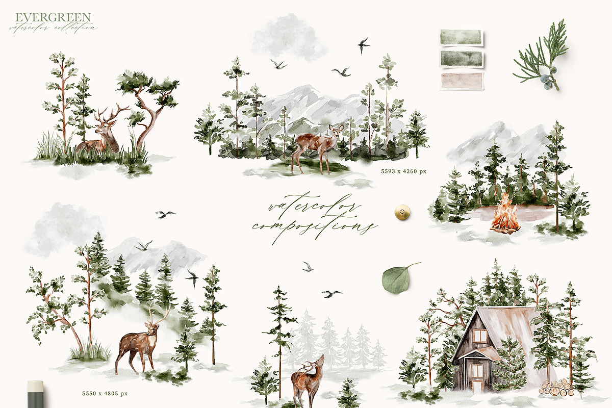 Evergreen Watercolor Forest, an Animal Illustration by Julia Dreams (Photo 4 of 10)