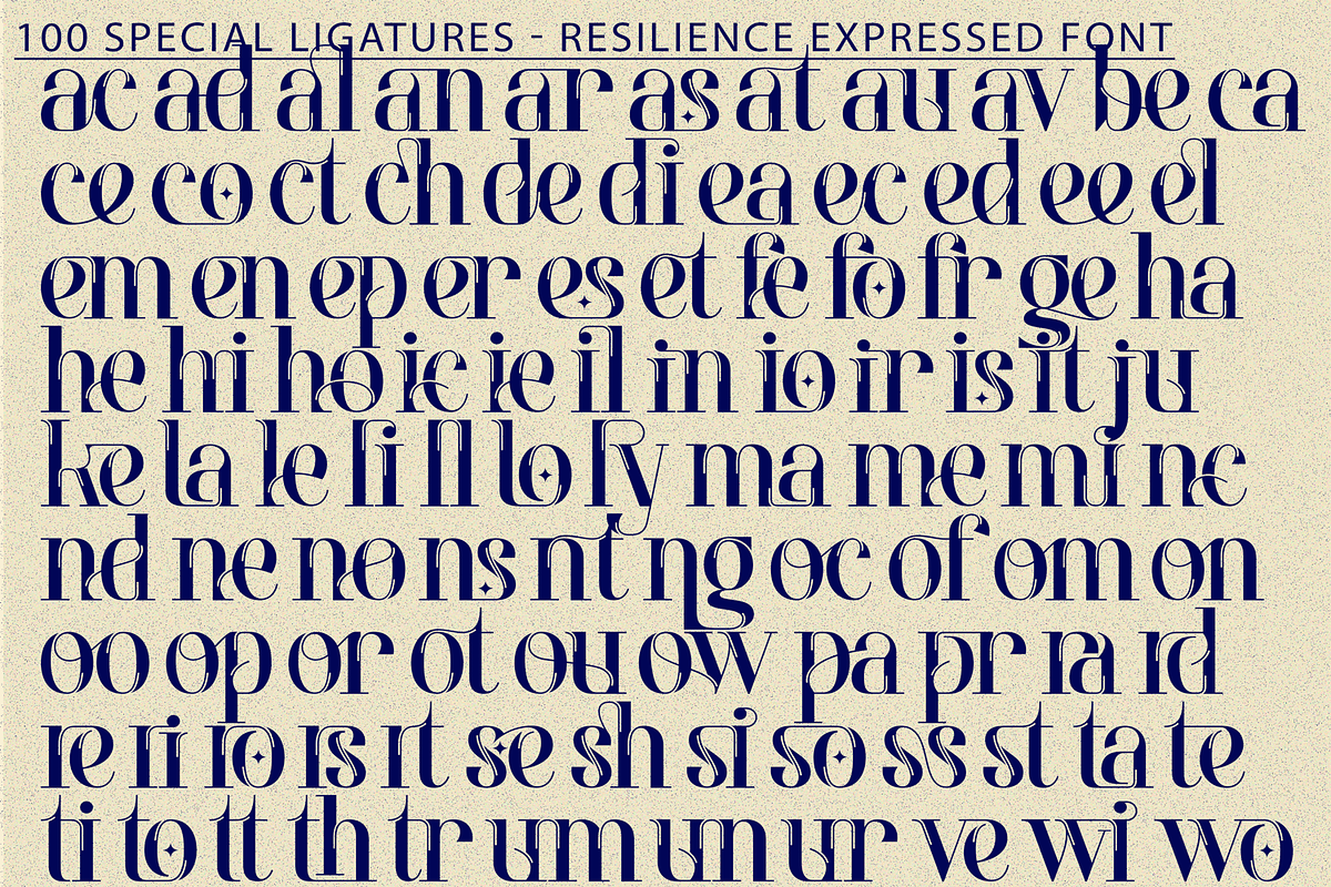Resilience Expressed Font, a Serif Font by 177Studio (Photo 7 of 8)