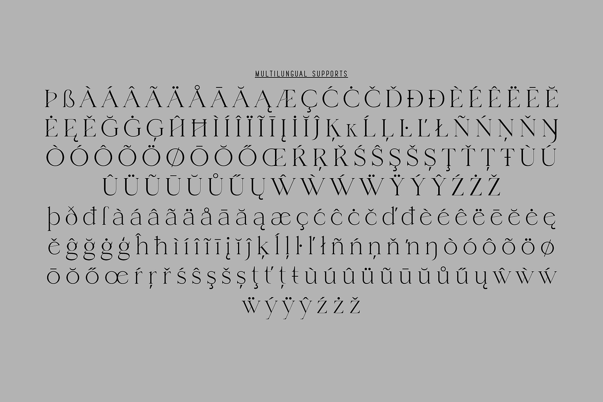 Channe, a Serif Font by BaronWNM (Photo 8 of 9)