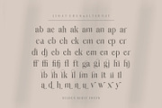 Hilden - stylish modern serif font, a Serif Font by Penatic Studio (Thumbnail 11 of 14)