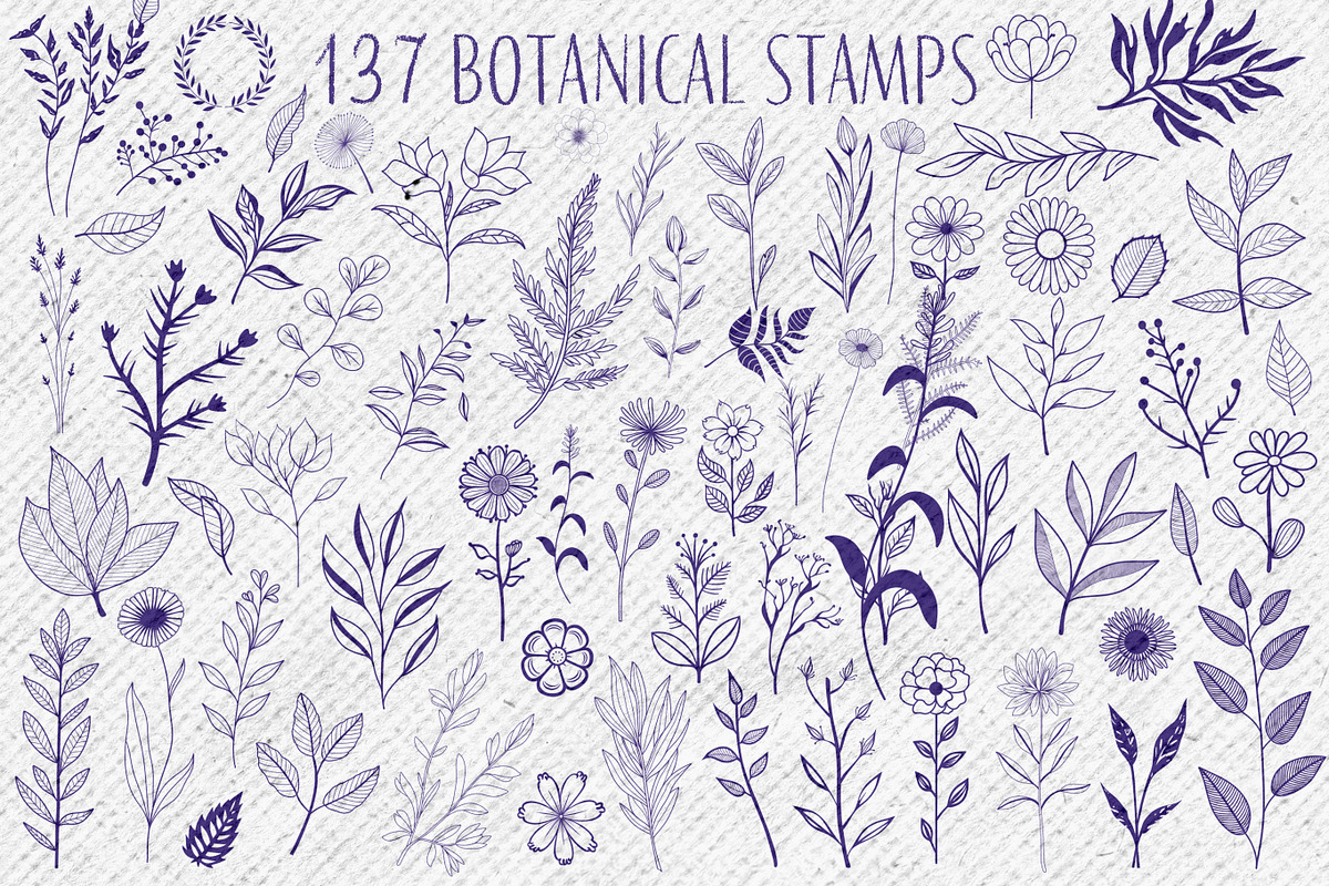 137 Botanical Stamps For Procreate, a Brush Add-On by Nuclear Brushes (Photo 8 of 10)