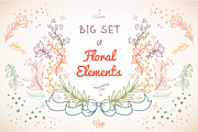Big set of Floral Elements, a Decorative Illustration by Dreaming_Lucy (Thumbnail 1 of 5)