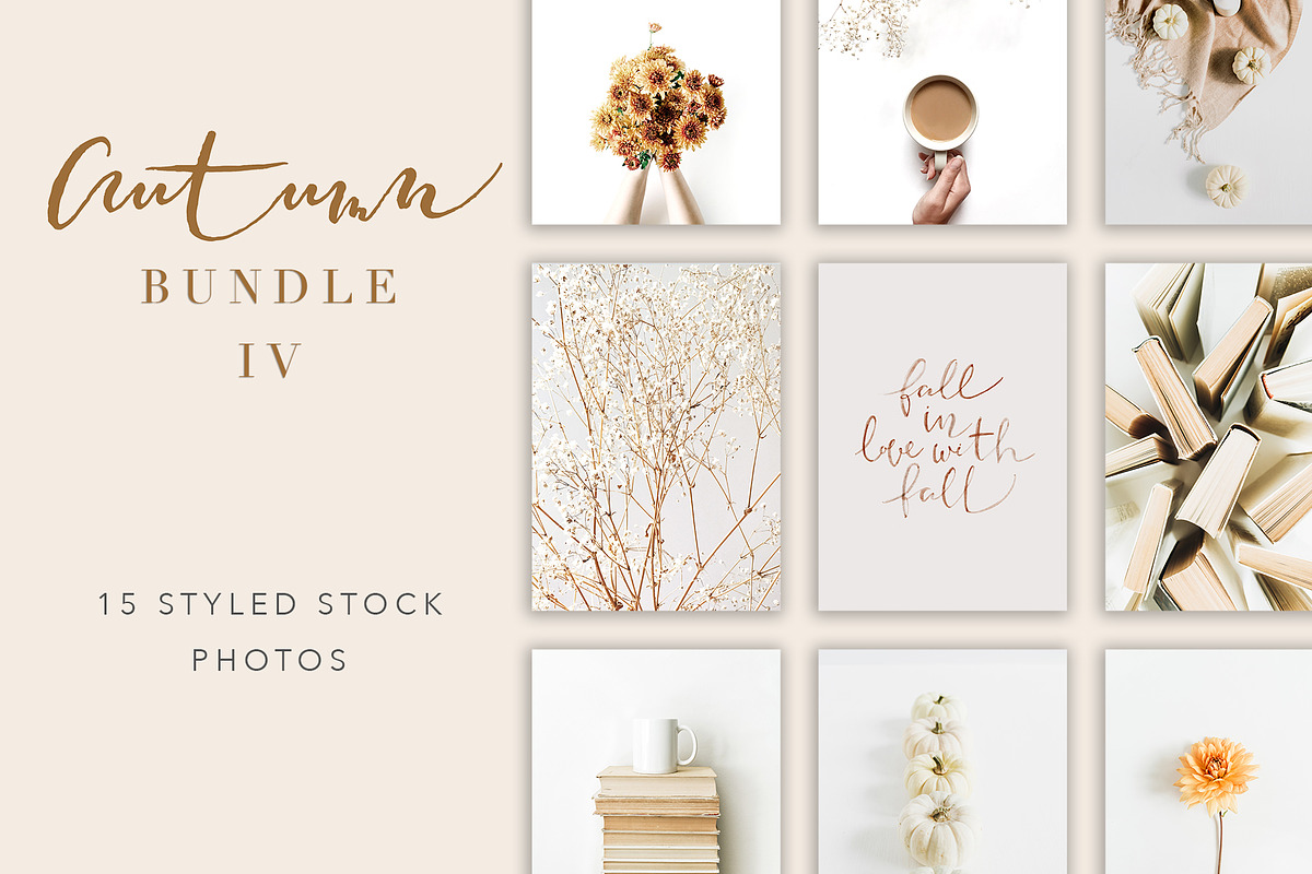 Autumn Bundle 4, a Beauty & Fashion Photo by Floral Deco (Photo 1 of 7)