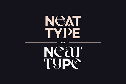 Neat Type - elegant fusion font