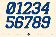 CS Bolande Drawn, a Slab Serif Font by Craft Supply Co. (Thumbnail 3 of 8)