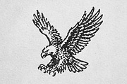 Retro illustration of a golden eagle, an Animal Illustration by lettett (Thumbnail 3 of 3)