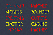 Champilon, a Sans Serif Font by Zafiratype (Thumbnail 13 of 16)