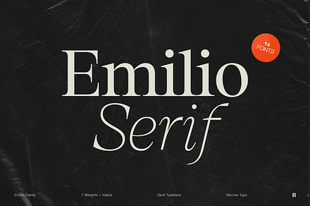 Emilio Serif Family (14 fonts), a Serif Font by Narrow Type