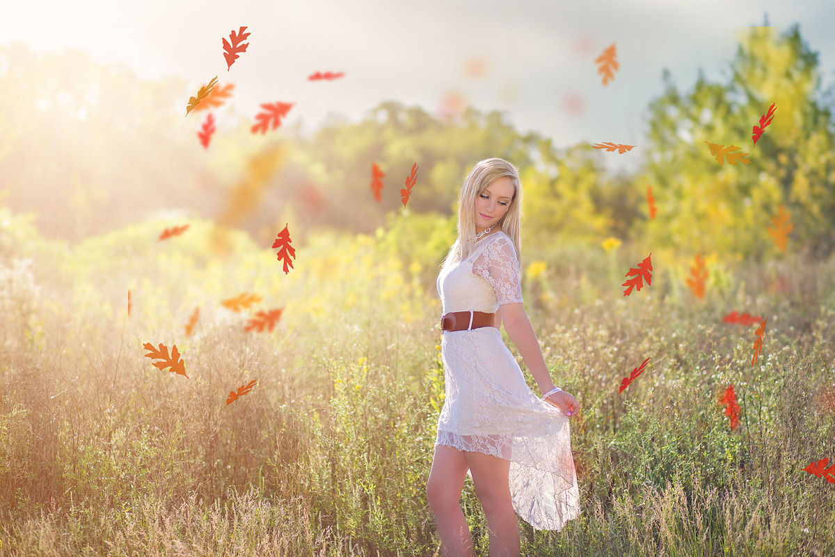 Leaf Overlays - Autumn Splender preview 4