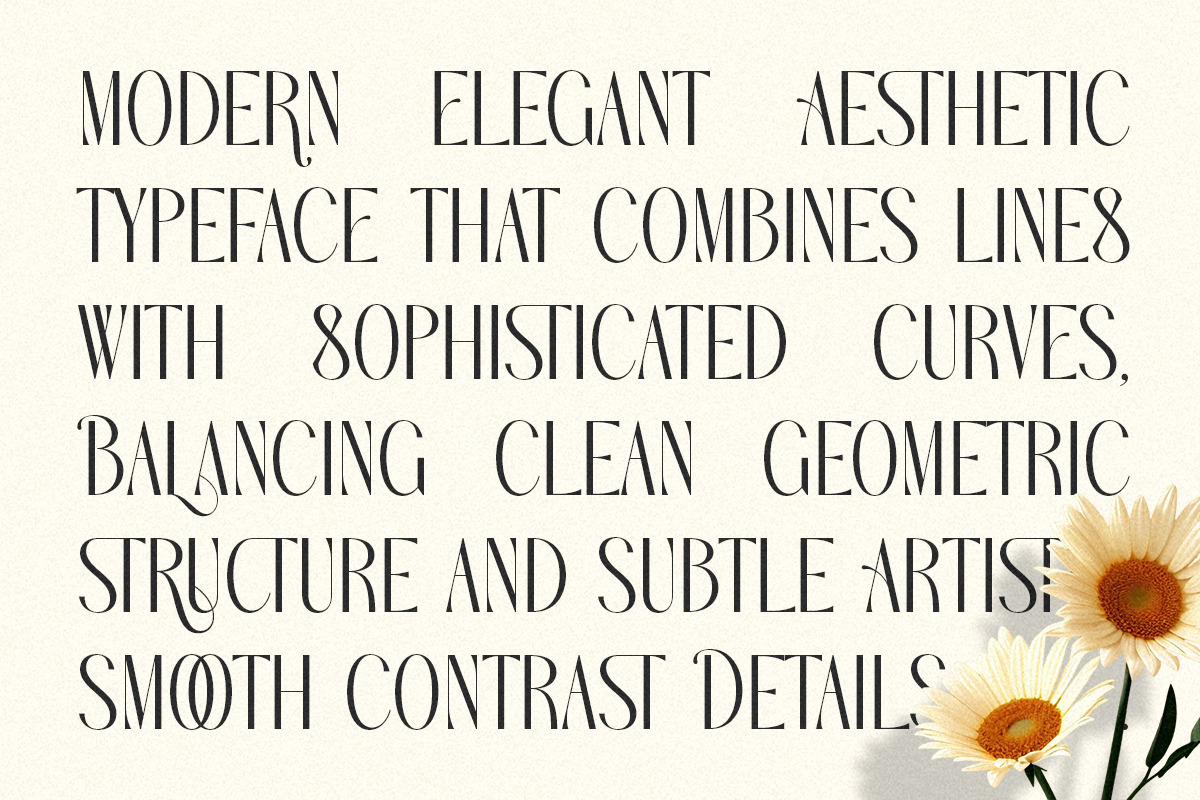 Audrey & Caroline - Elegant Modern, a Serif Font by Shakira Studio (Photo 8 of 10)