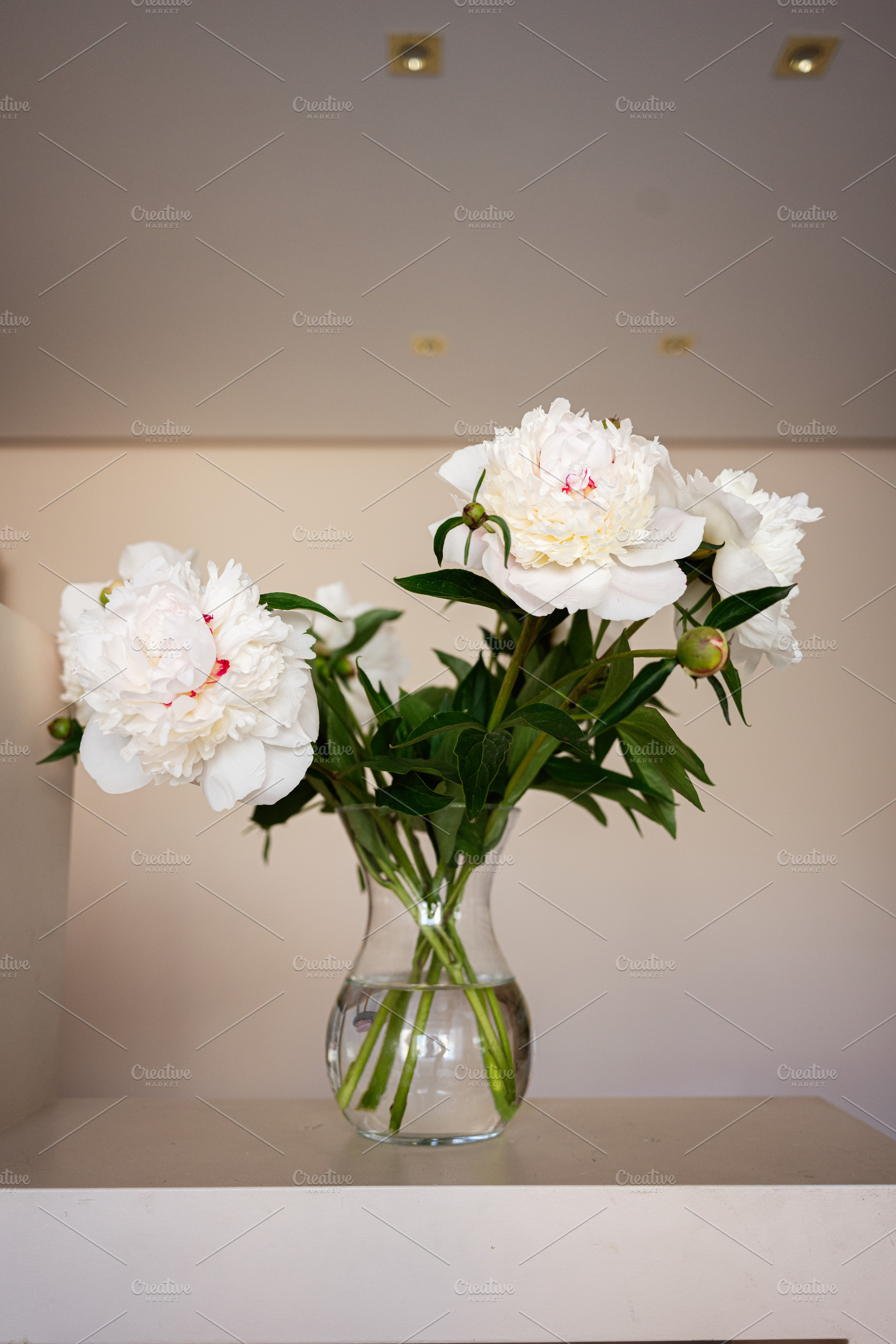 Elegant white peony flowers in a glass vase on a minimalist background, a Photo by AS photostudio