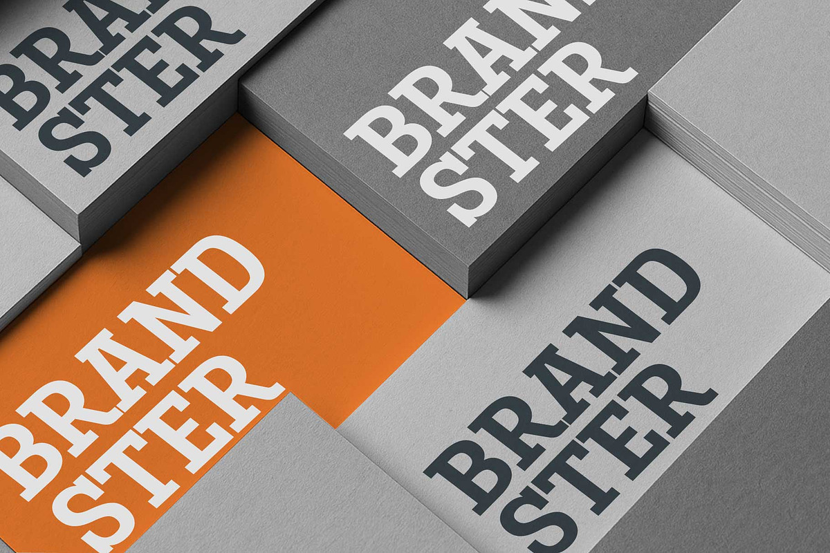 Birdwood; Condensed Slab Serif, a Slab Serif Font by Eko Bimantara (Photo 13 of 13)