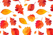 8 vector watercolor autumn patterns, a Pattern Graphic by Art of Sun (Thumbnail 3 of 3)