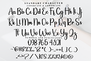 Blackink Calligraphy, a Handwritten Font by FreshTypeINK (Thumbnail 4 of 8)