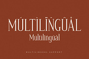 Nerhole Modern Serif Font, a Serif Font by Letterena Studios (Thumbnail 12 of 15)