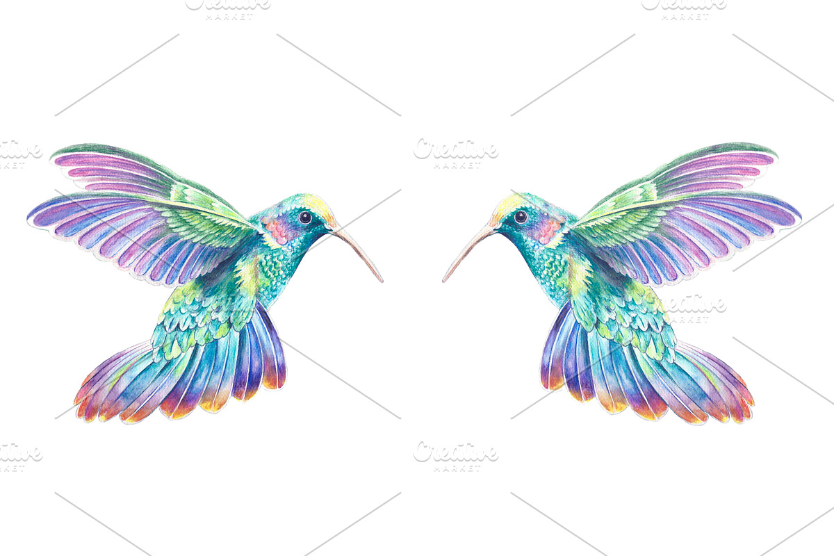 Two Colibri