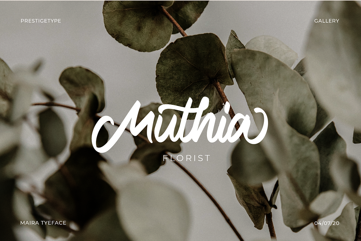 Maira Script Font (Updated!), a Script Font by Prestigetype (Photo 6 of 7)