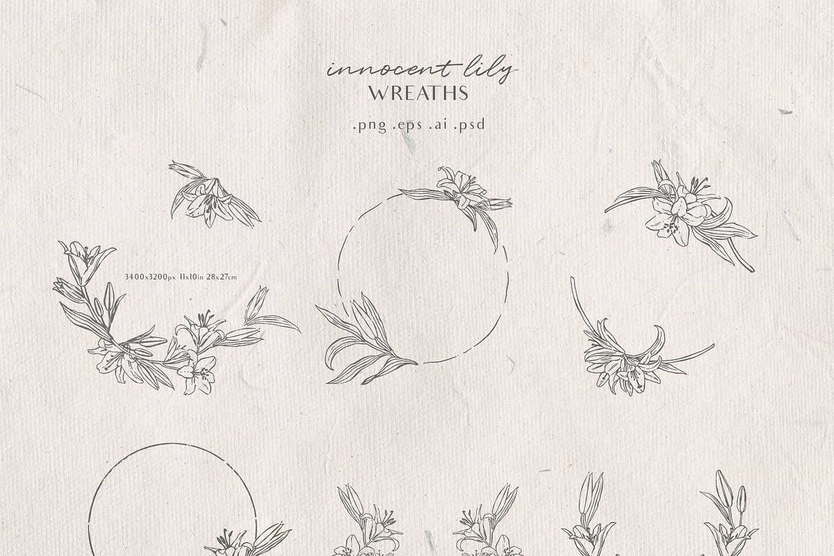 Innocent Lily - Floral Line Art, an Illustration by Julia M. Watercolor (Photo 6 of 11)