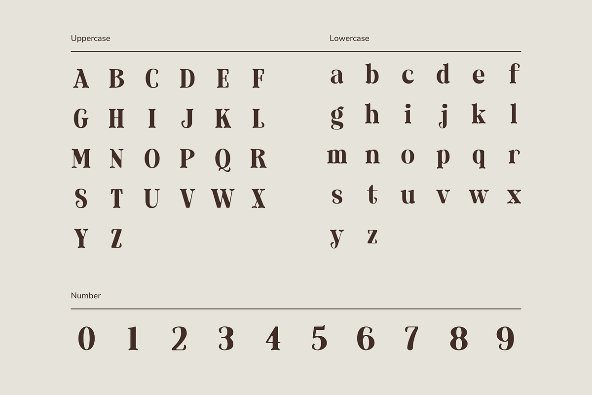 Laderhaus - Display Font, a Serif Font by Studio Moara (Photo 4 of 11)