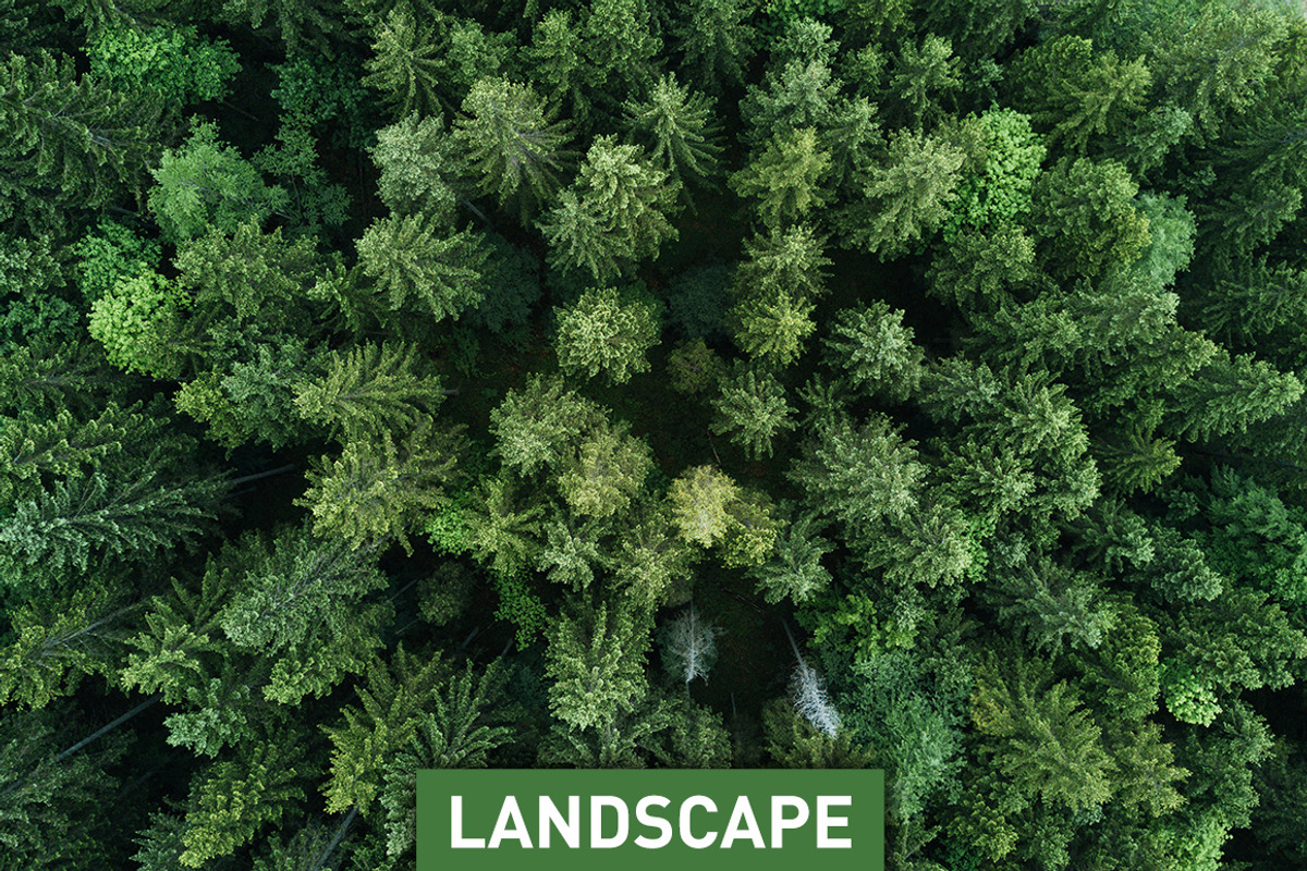 Blogger Bundle 135 Lightroom Presets, an Action Add-On by PhotoMarket (Photo 54 of 94)