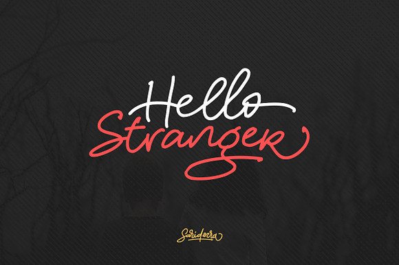 Hello Stranger preview 8