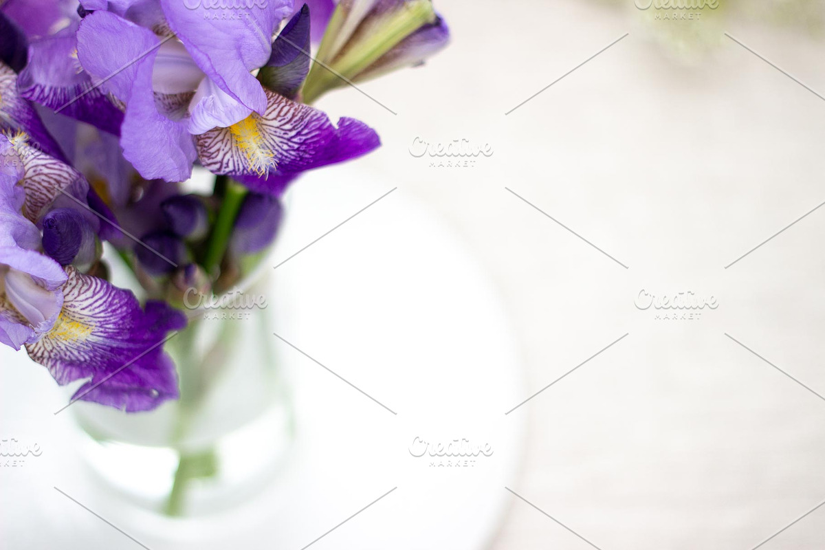 Purple Iris Styled Stock Collection, a Photo by Chalking Up Stock (Photo 7 of 19)