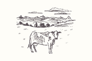 Rural Landscape And Cow