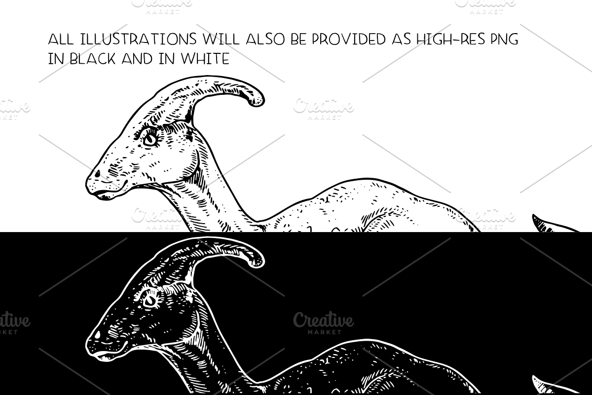 Dinosaurs - vector illustration set, an Animal Illustration by Renée from Studio neetje (Photo 3 of 4)