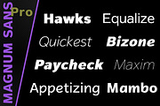 Magnum Sans Pro, a Sans Serif Font by FontMesa (Thumbnail 2 of 5)