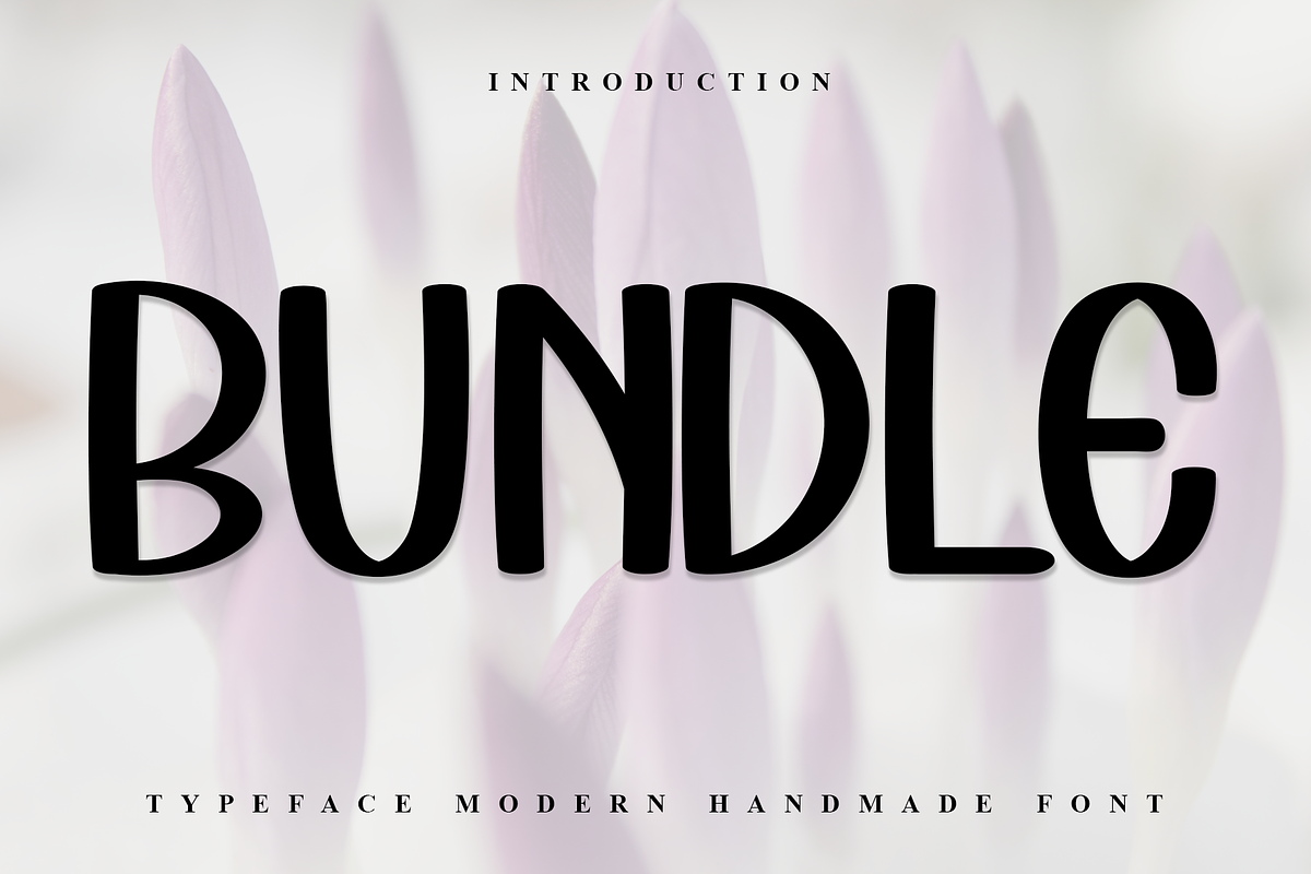 Bundle, a Sans Serif Font by InermediaSTUDIO (Photo 2 of 7)