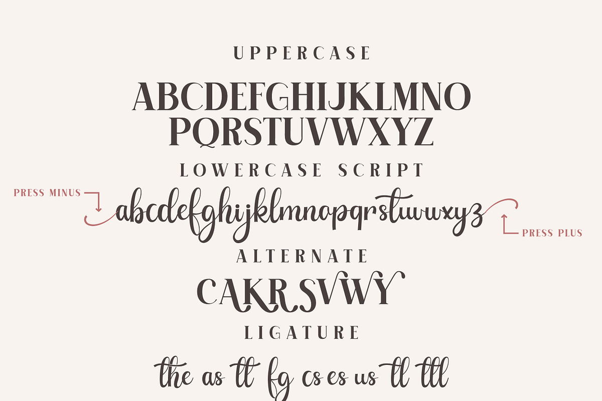 Advance Elegant, a Handwritten Font by Mini_World (Photo 5 of 6)