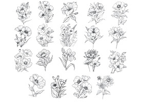 Floral Flower Set 12 Procreate Brush