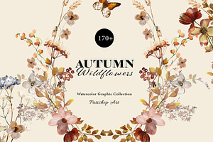 Autumn Watercolor Wildflower Clipart